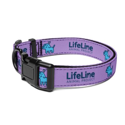 Pet collar