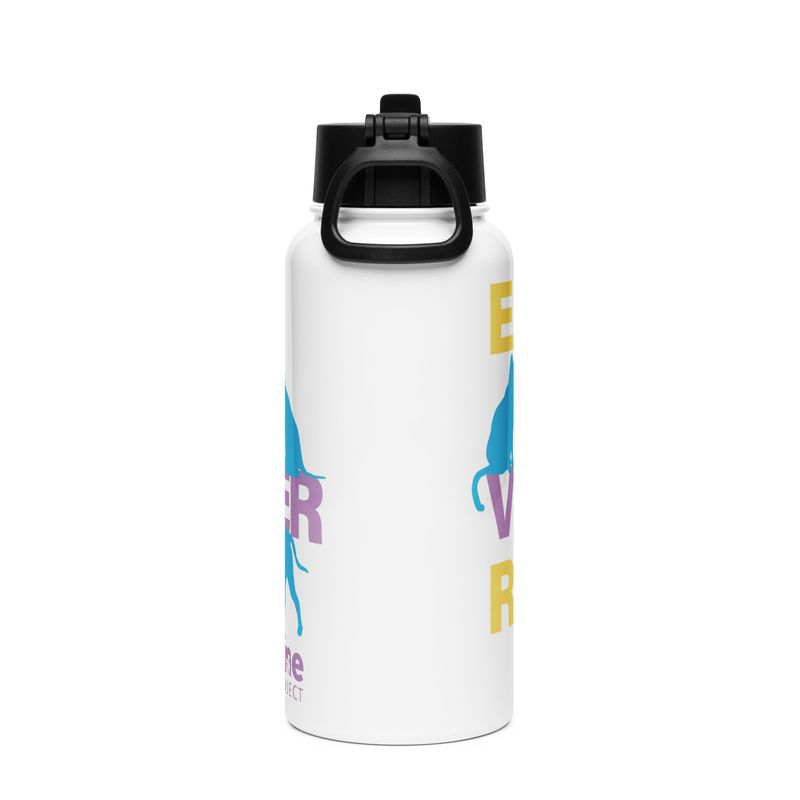 Stainless steel water bottle with a straw lid