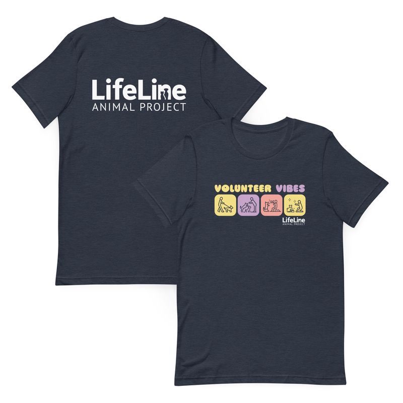 Volunteer Vibes Unisex T-Shirt