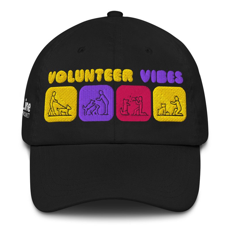 Volunteer Vibes Dad hat