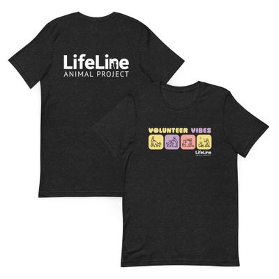 Volunteer Vibes Unisex t-shirt