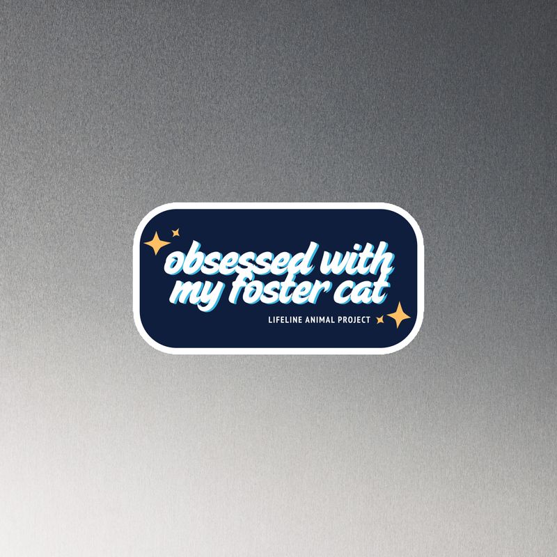 Obsessed Foster Cat Magnet - Navy