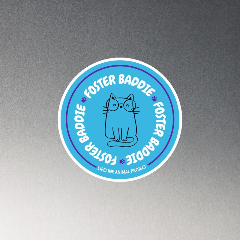 Foster Cat Baddie Magnet