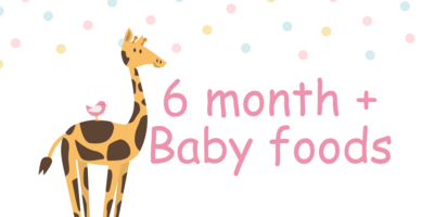 6 month + Baby foods