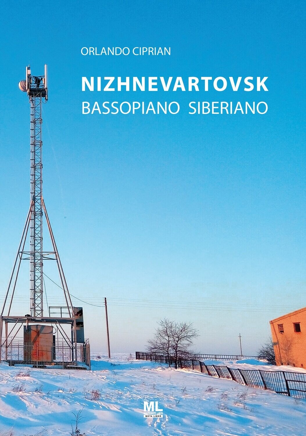 Nizhnevartovsk. Bassopiano siberiano (Meta Liber©)