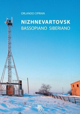 Nizhnevartovsk. Bassopiano siberiano (Meta Liber©)