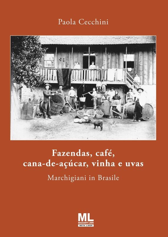 Fazendas, café, cana-de-açúcar, vinha e uvas