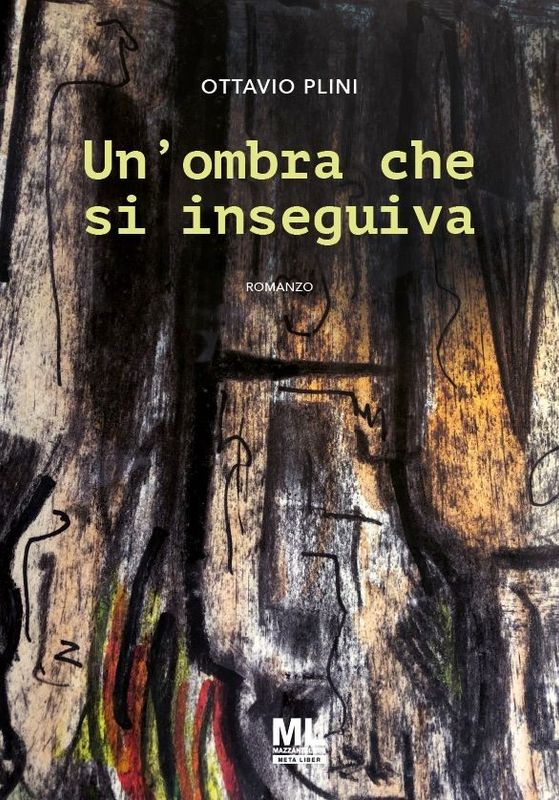 Un'ombra che si inseguiva