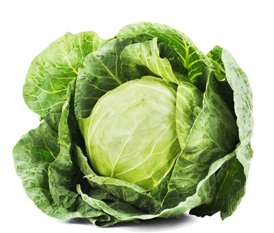 Cabbage