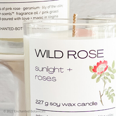 WILD ROSE Scented Candle