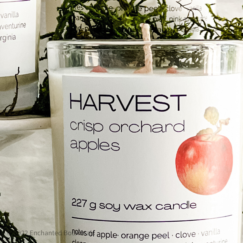 HARVEST Scented Candle