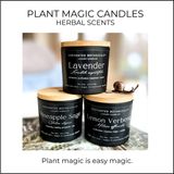 PLANT MAGIC CANDLES -- Herbal Scents