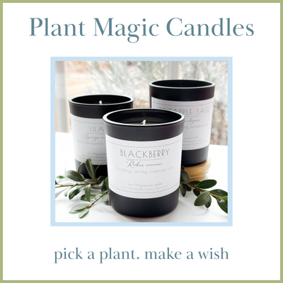 Plant Magic Candles