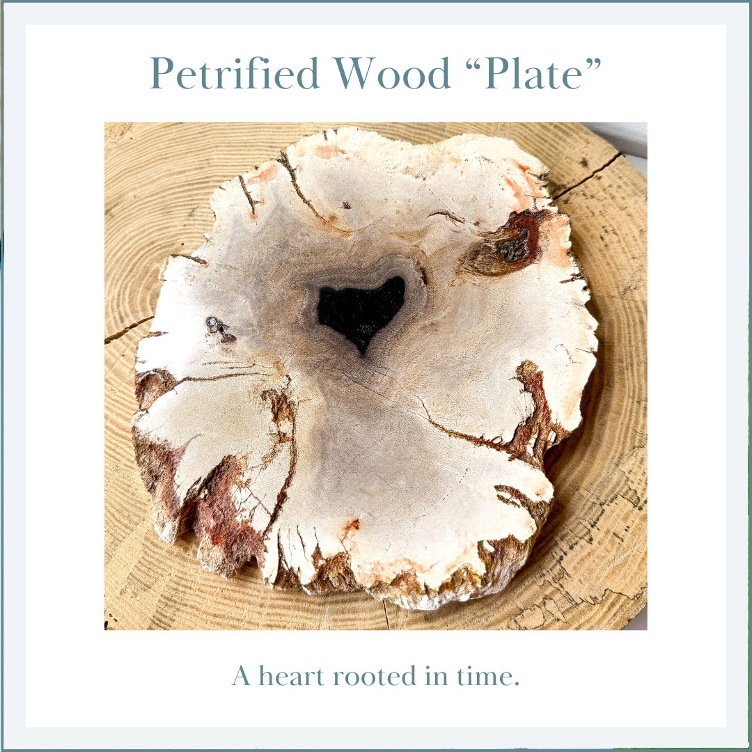 PETRIFIED WOOD &quot;Plate&quot;