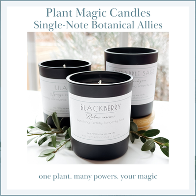 PLANT MAGIC CANDLES — Single-Note Botanical Allies