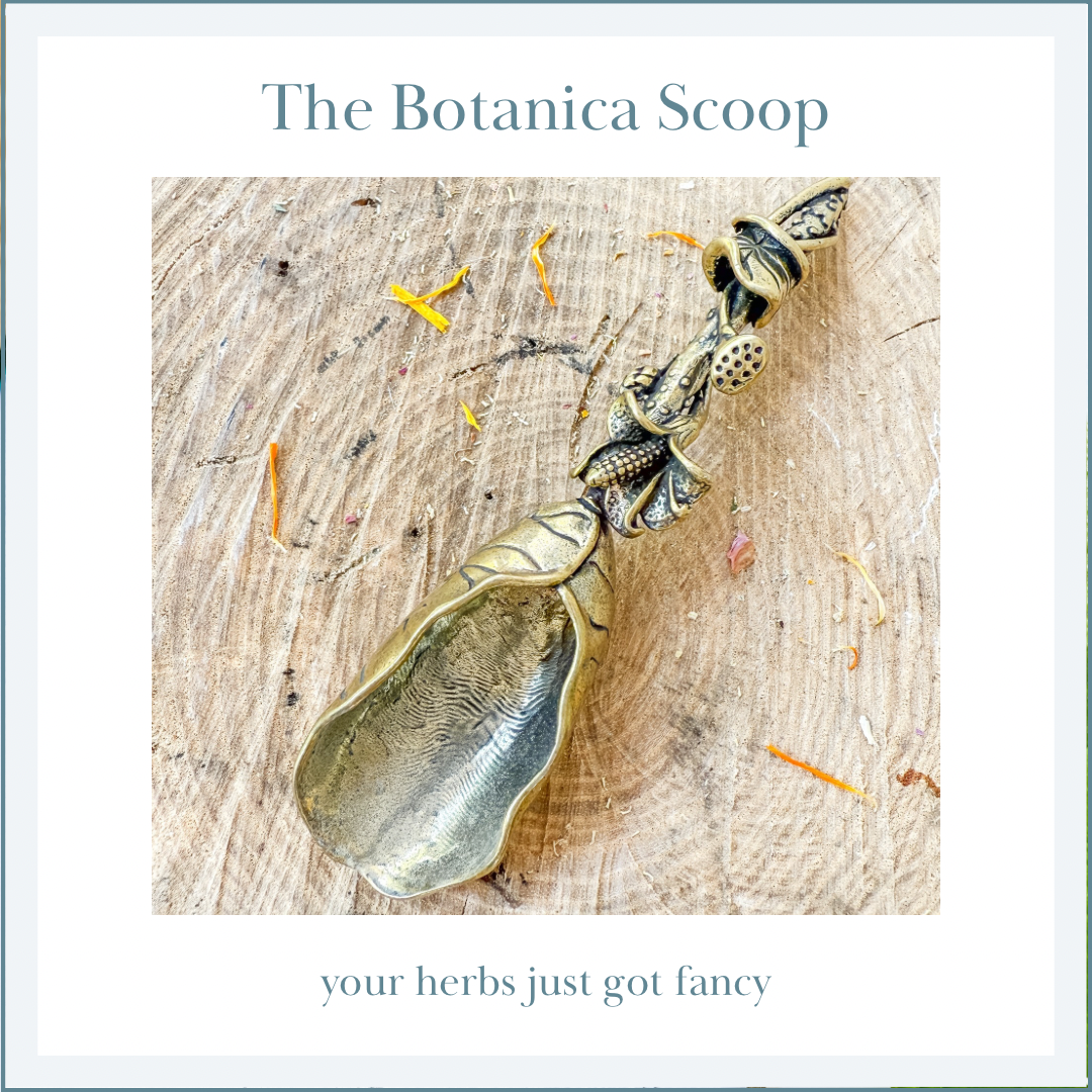 BOTANICA SCOOP