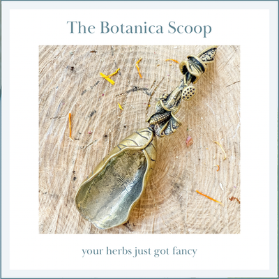 BOTANICA SCOOP