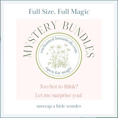 MYSTERY BUNDLE (Small or Large)