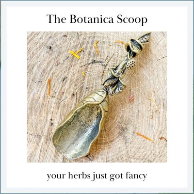 BOTANICA SCOOP