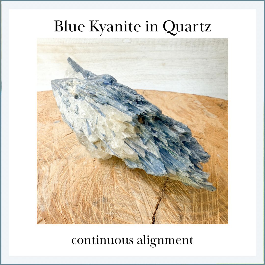 BLUE KYANITE Blade in Quartz