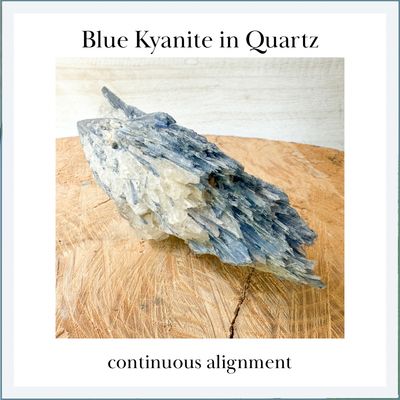 BLUE KYANITE Blade in Quartz
