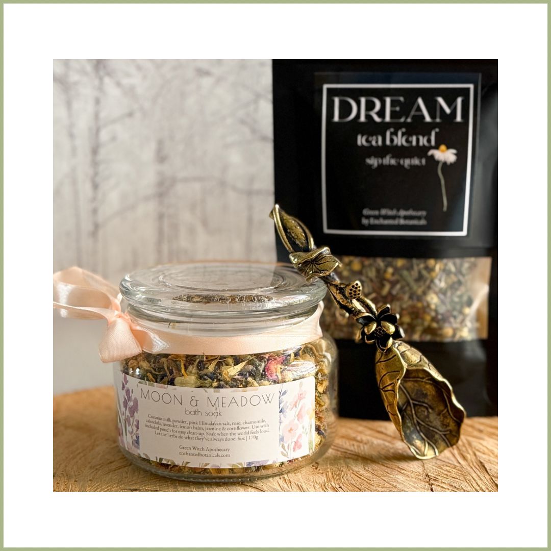 BUNDLE — For the Dreamers