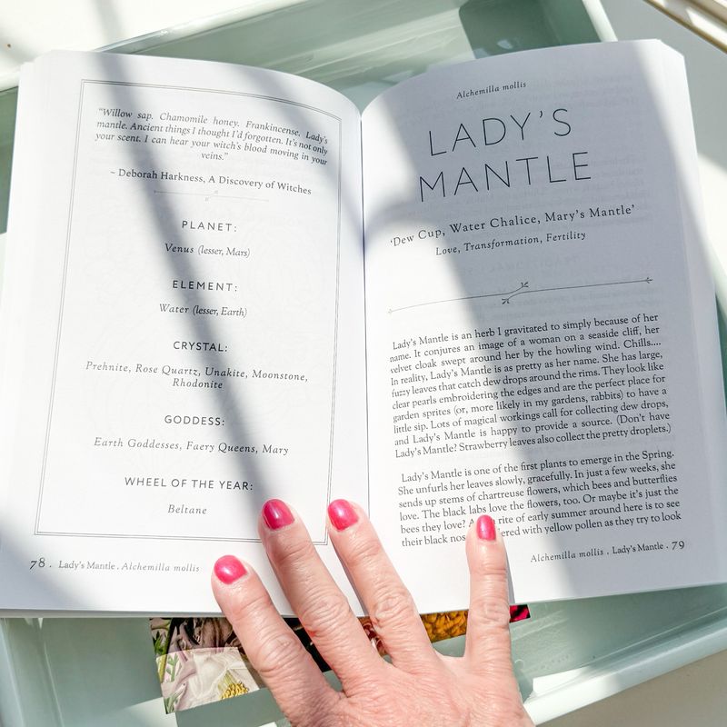 NOTES from an ENCHANTED GARDEN