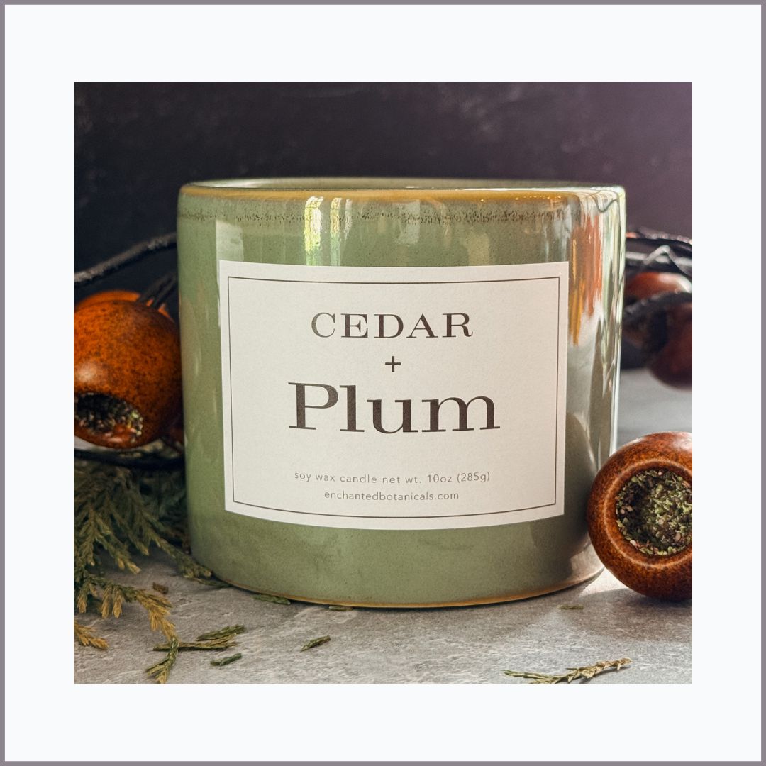 CEDAR + PLUM Scented Candle