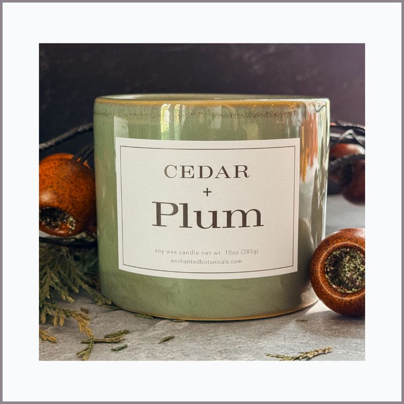 CEDAR + PLUM Scented Candle