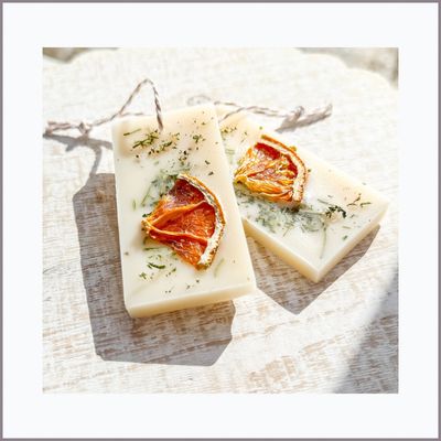 SCENT MEDALLIONS — Enchanted Forest Scent (Set of 2)