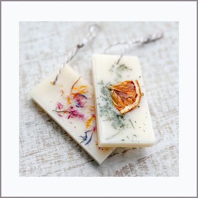 SCENT MEDALLION DUO — Fresh Spell + Enchanted Forest (one each)