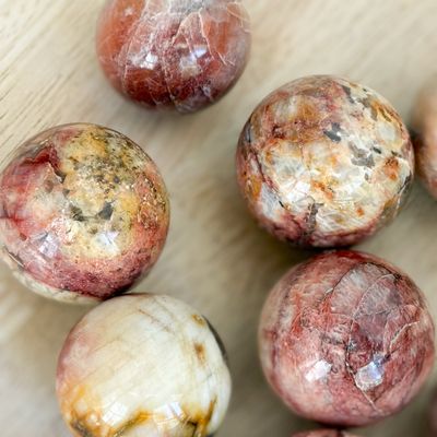 PETRIFIED WOOD SPHERES