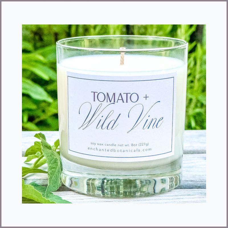 TOMATO + WILD VINE Scented Candle