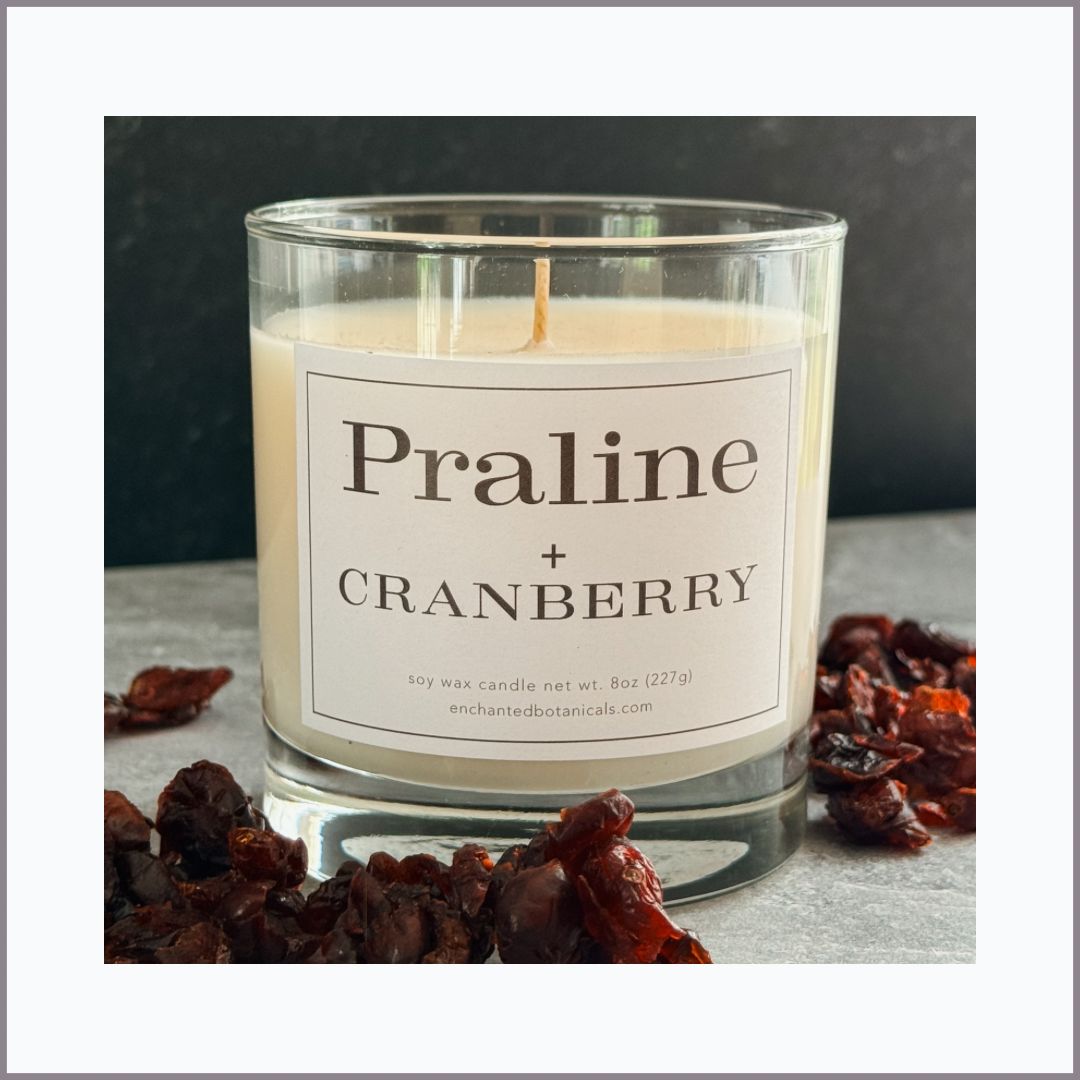 PRALINE + CRANBERRY Scented Candle