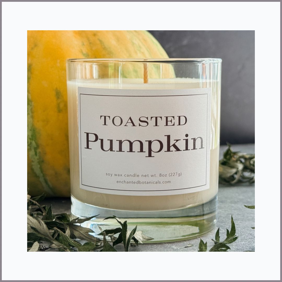 TOASTED PUMPKIN Scented Candle