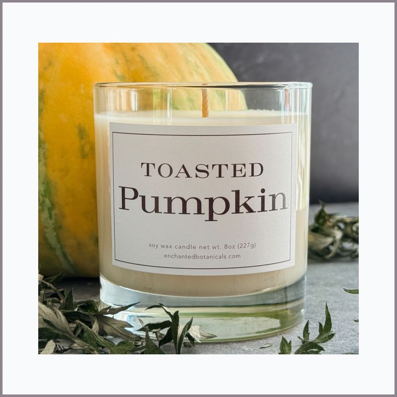TOASTED PUMPKIN Scented Candle
