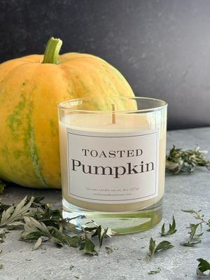 TOASTED PUMPKIN Scented Candle