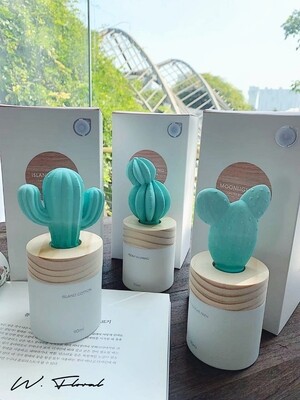 Cactus Style Solid Diffuser 90ml Cactus Style Solid Diffuser 90ml