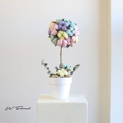 Preserved Dried Cotton Flower Topiary Preserved Dried Cotton Flower Topiary
