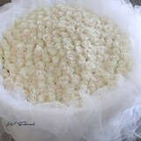 White Chiffon White Roses