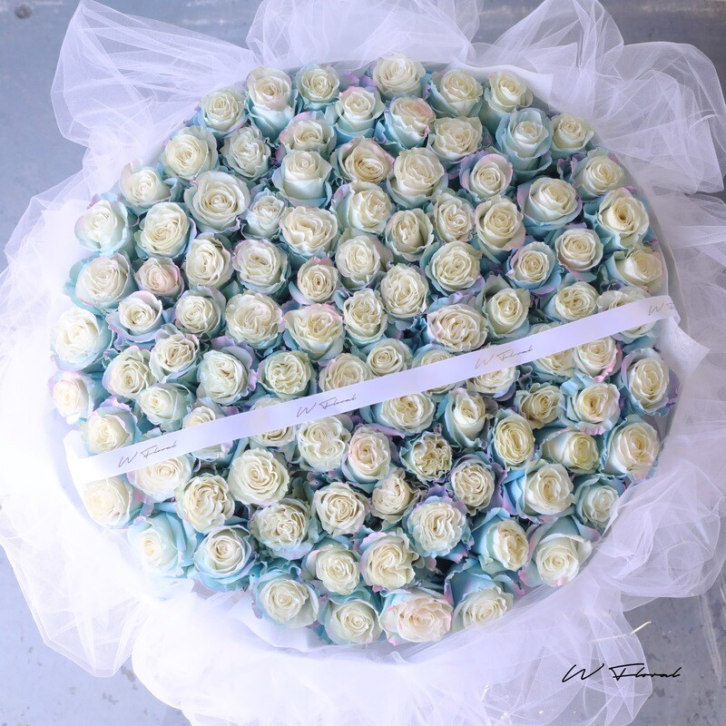 Chiffon StellaLou Rose