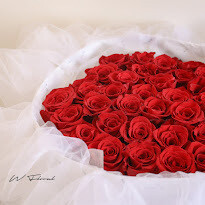 White Chiffon Red Roses