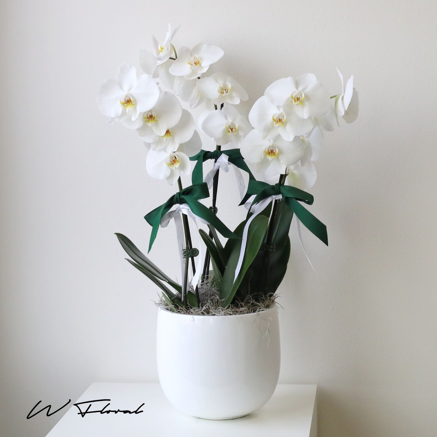 Triplex Prosperity Orchid Fortune Pot - White