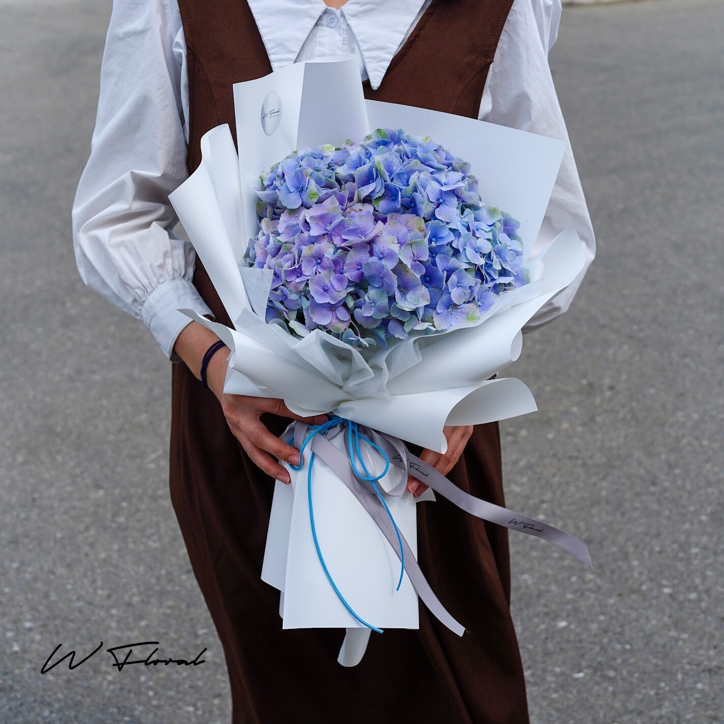 Hydrangea Whisper