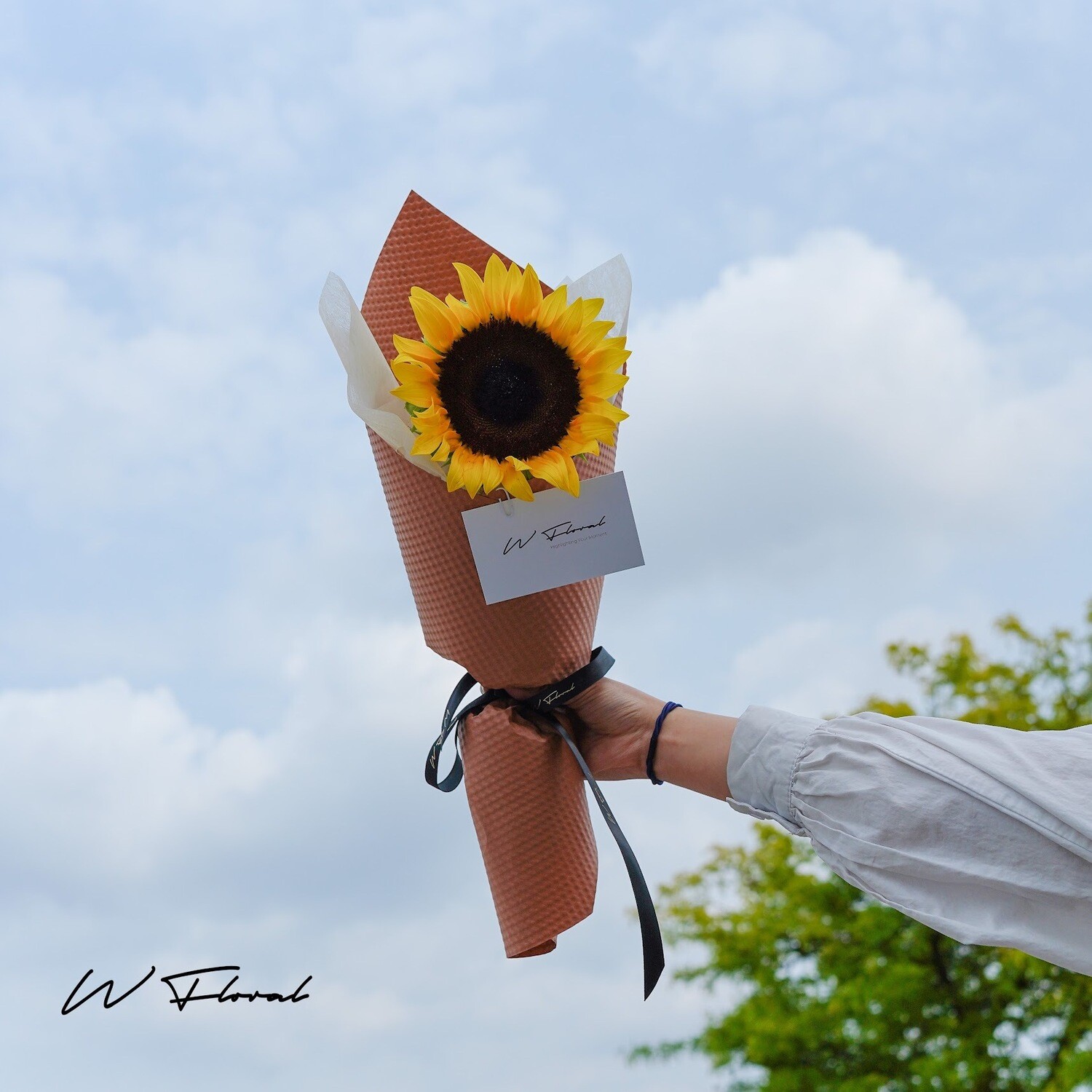 Mini Cone Sunflower