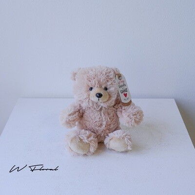 9“ Teddy Bear