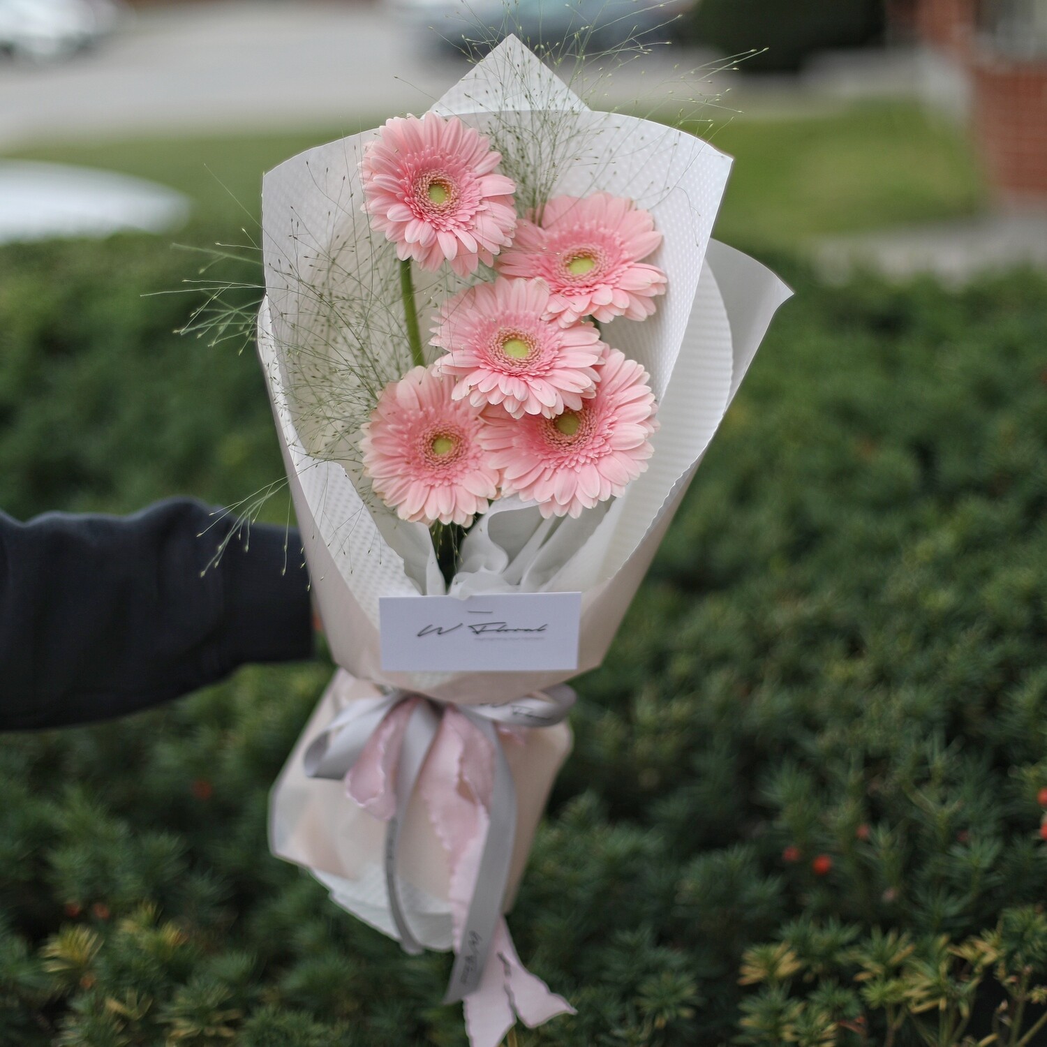 Mini Daisy Gerbera Bouquet
