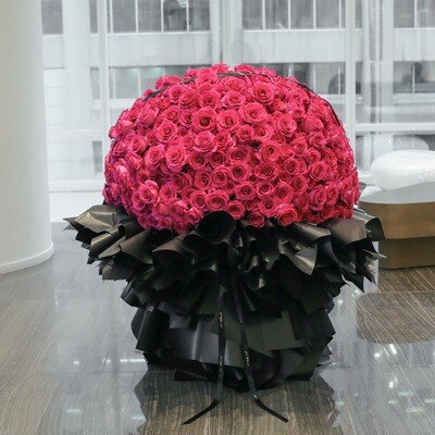 520 Classic Round Rose