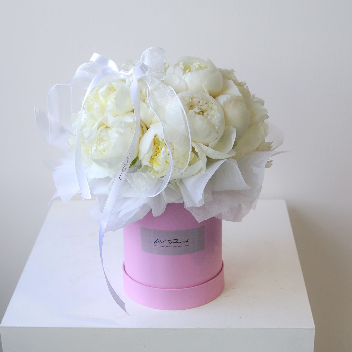 White Peony Peonies Hug Mini