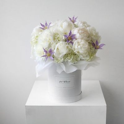 White Peony Peonies Morning Dew Hug